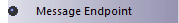 Message Endpoint element